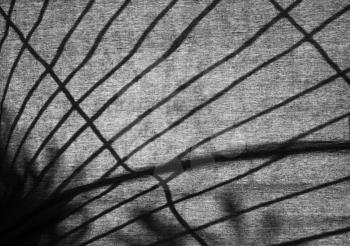 Silhouette of a metal grill window on a dark dense cloth curtain