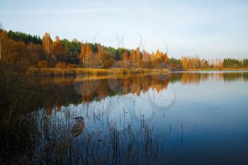 Autumn landscape with a lake. Clear sunny weather. Reflection of trees in calm water.
