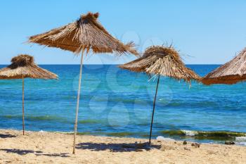 Several thatched beach umbrellas against the backdrop of a calm blue sea on a clear sunny day. Straw parasols. Selective focus on the umbrellas.