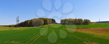 Panoramic summer landscape with blue sky, green field and forest.
