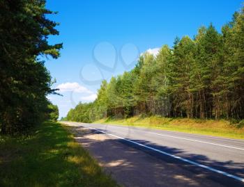 Asphalt road through the pine forest. Sunny summer day.