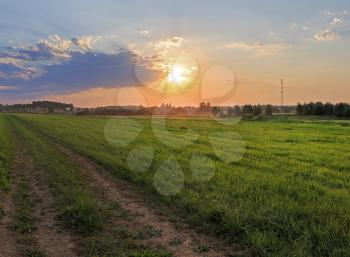 The road through the meadow with green grass. Sunset in the countryside.