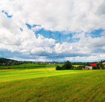 Summer rural landscape. Cumulus clouds in blue sky and a field of green grass. Sunny day in the countryside.