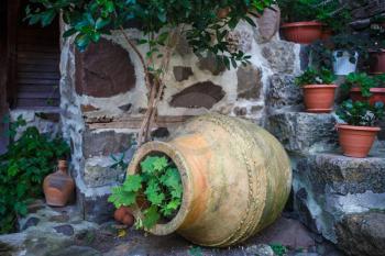 A fragment of the old exterior ceramic vase and plants on the stone wall background. Shallow depth of field. 