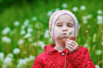 Baby child blowing dandelion. Shallow depth of field. Selective focus on the eyes of the model.