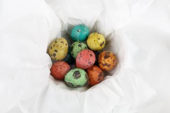 Colored quail eggs on a white background wrapping paper. Top view.