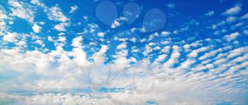 Clouds in the blue sky. Sky background with white cumulus clouds on a sunny day. Panoramic shot.