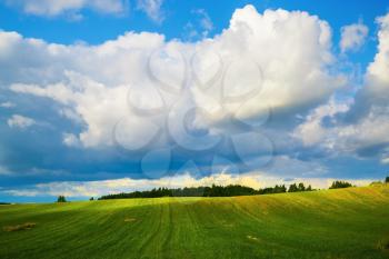 Blue sky with cumulus clouds and a field of green grass. Sunny day in the countryside. Summer landscape.