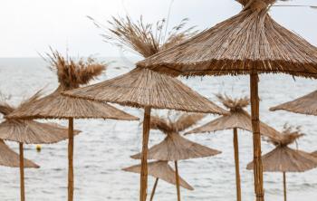 Straw beach umbrellas on a background of the cloudless sky. Shallow depth of field.