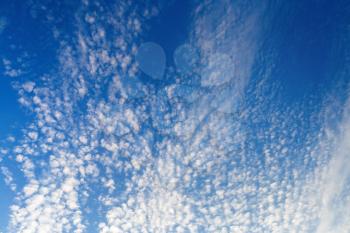 Blue sky with many small fluffy white clouds. Sky with clouds background.