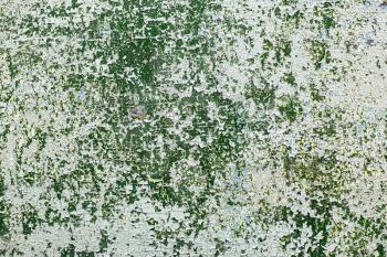 Peeling paint background with cracks and spots. Vintage texture with green cracked paint.