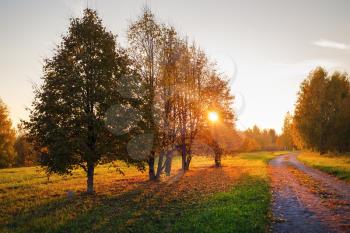 Beautiful autumn landscape. Golden sunset at the park. Sun, trees and leaves.