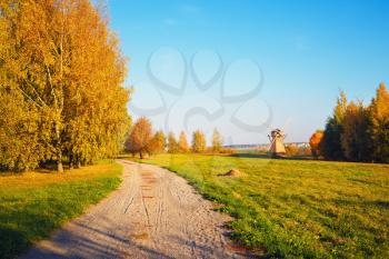 Scenic rural landscape. Autumn trees, dirt road and field.