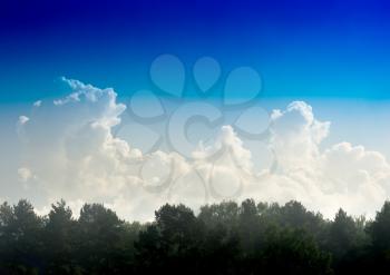 Dramatic clouds over the forest landscape background
