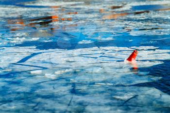 Melting ice and red buoy on river surface background hd