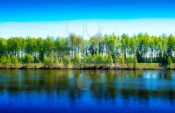 Dramatic river forest horizon backdrop background