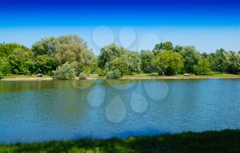 Summer park pond landscape background