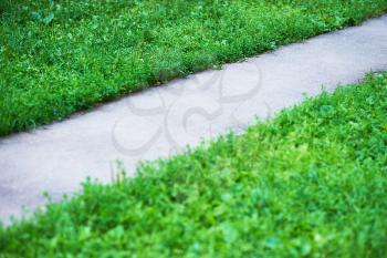 Diagonal park path with green grass background hd
