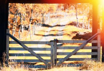Entrance to Norway farm with light leak background hd