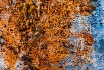 Horizontal vintage orange moss rusty concrete wall texture backdrop