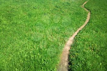 Curved path on green summer lawn background