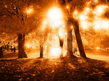 Dramatic sunset in autumn park background
