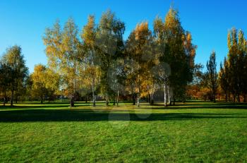 Dramatic autumn park landscape background