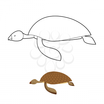 Water turtle coloring book. Marine animal with shell. Vector illustration
