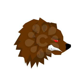 Angry bear. aggressive Grizzlies with grin. Wild beast growls. Scary ferocious animals of  forest
