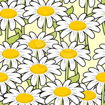 Chamomile seamless pattern. Beautiful flowers ornament. Summer meadow ornament. Texture to fabric. Lot of White summer flowers
