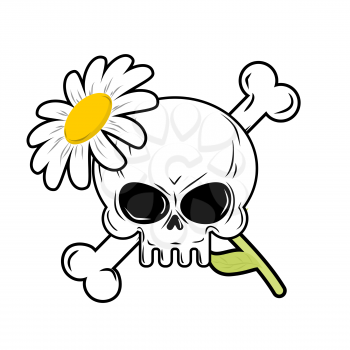 Skull and flower. symbol of death and symbol of life.
