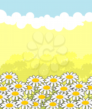 Floral landscape. white flowers and blue sky. Clouds and Chamomile. Summer Backgrounds.
