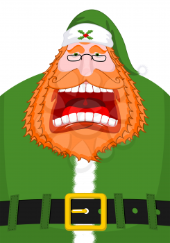Irish Santa (Daddy of Christmas). Santa Claus Ireland ( Daidi na Nollag ) Irish language. Christmas old man in green clothes. Sprig of mistletoe on cap. Traditional New Year grandfather
