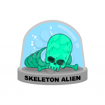 Skeleton alien in Glass Bell. Bones UFO research. Skull alien humanoid laboratory flask. Glass Bank Research. Mystery Experimental analysis of data green monster from another planet