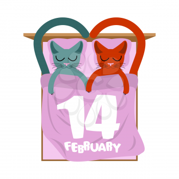 Valentines Day. Cats in bed. Cute cat sleeping love. Lover holiday14 February 