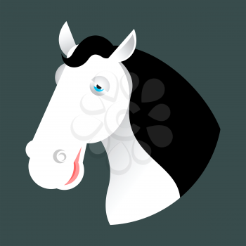 White horse head. Muzzle hoss isolated on white background
