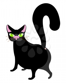Cat black isolated. Pet on white background
