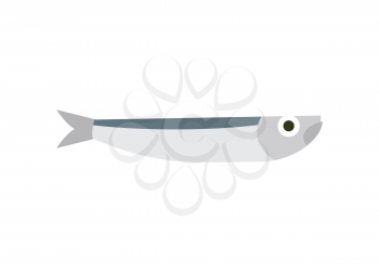 Anchovy isolated. small fish on white background
