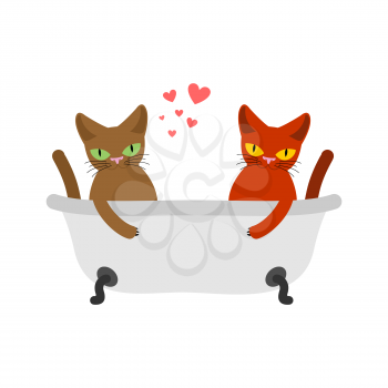 Cat lovers in bath. Lover Joint bathing.. Pet Romantic date. Cats lifestyle
