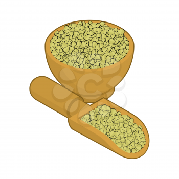 Raw buckwheat in wooden bowl and spoon. Groats in wood dish and shovel. Grain on white background. Vector illustration