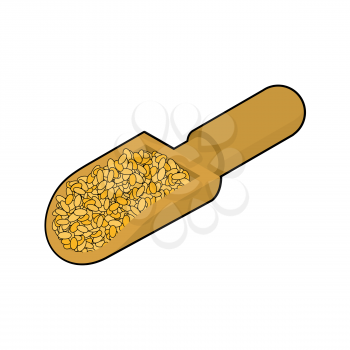 Bulgur in wooden scoop isolated. Groats in wood shovel. Grain on white background. Vector illustration

