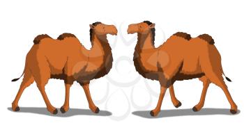 Digital painting of the Bactrian Camel