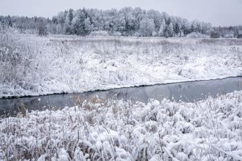 Winter landscape with Snowy Forest around the  Small River