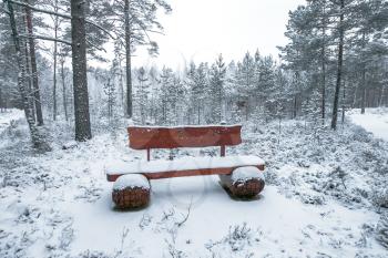 Wooden bench in the winter park