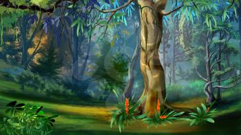 Large Tree in a Forest in a Summer Day. Digital Painting Background, Illustration in cartoon style character.