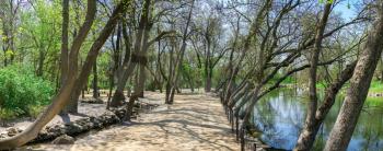 Creek in the territory of Askania-Nova reserve in Ukraine on a sunny spring day
