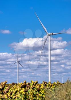 Parutino, Ukraine 08.17.2019. Wind generators in a sunflower field against a cloudy sky near the Ancient greek colony Olbia in Ukraine on a sunny summer day
