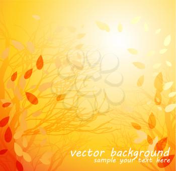 Autumn leaves background.Vector.