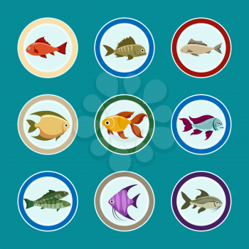 Fish on the plate vector icons. Sea food restaurant menu icons set