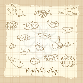 Hand drawn vegetables on vintage notebook page. Vegetable shop vector